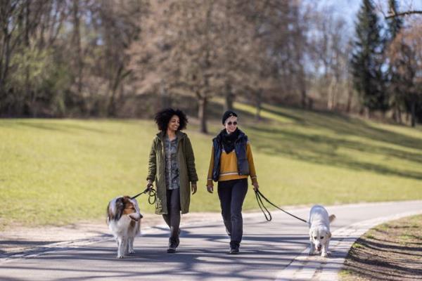 Walking can boost your mood and improve your circulation, experts say.